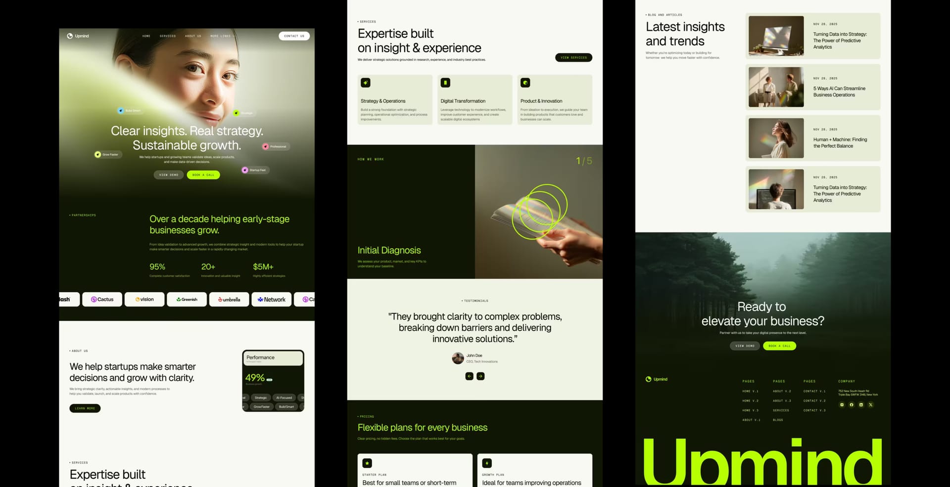 Business Consultant Website: design screens 1