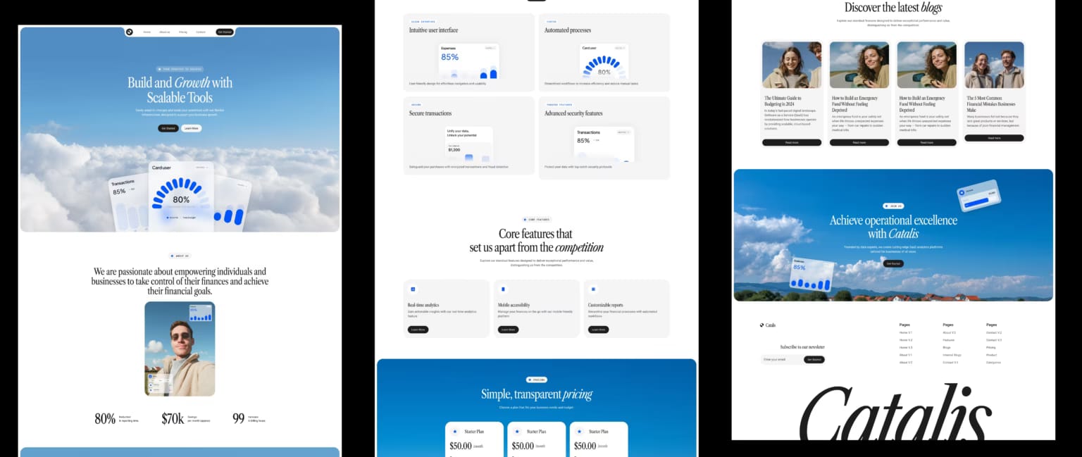Software Presentation Website: design screens 1